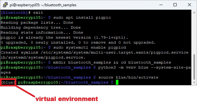 Raspberry Pi Virtual Environment Active